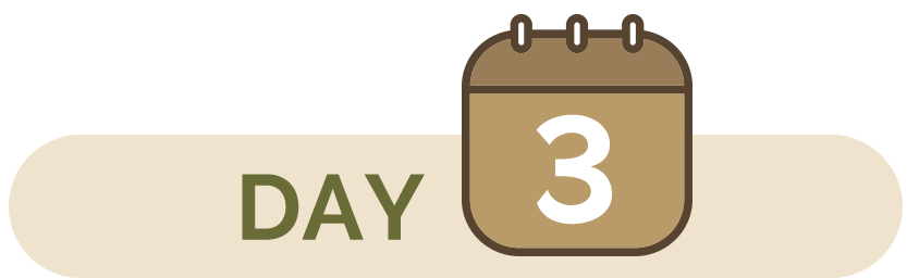 Day 3