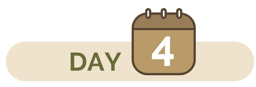 Day 4