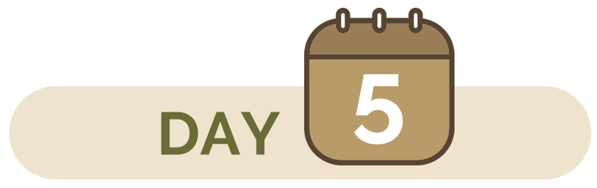 Day 5